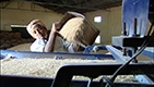 India: Cutting Middlemen Cuts Costs to Fa...